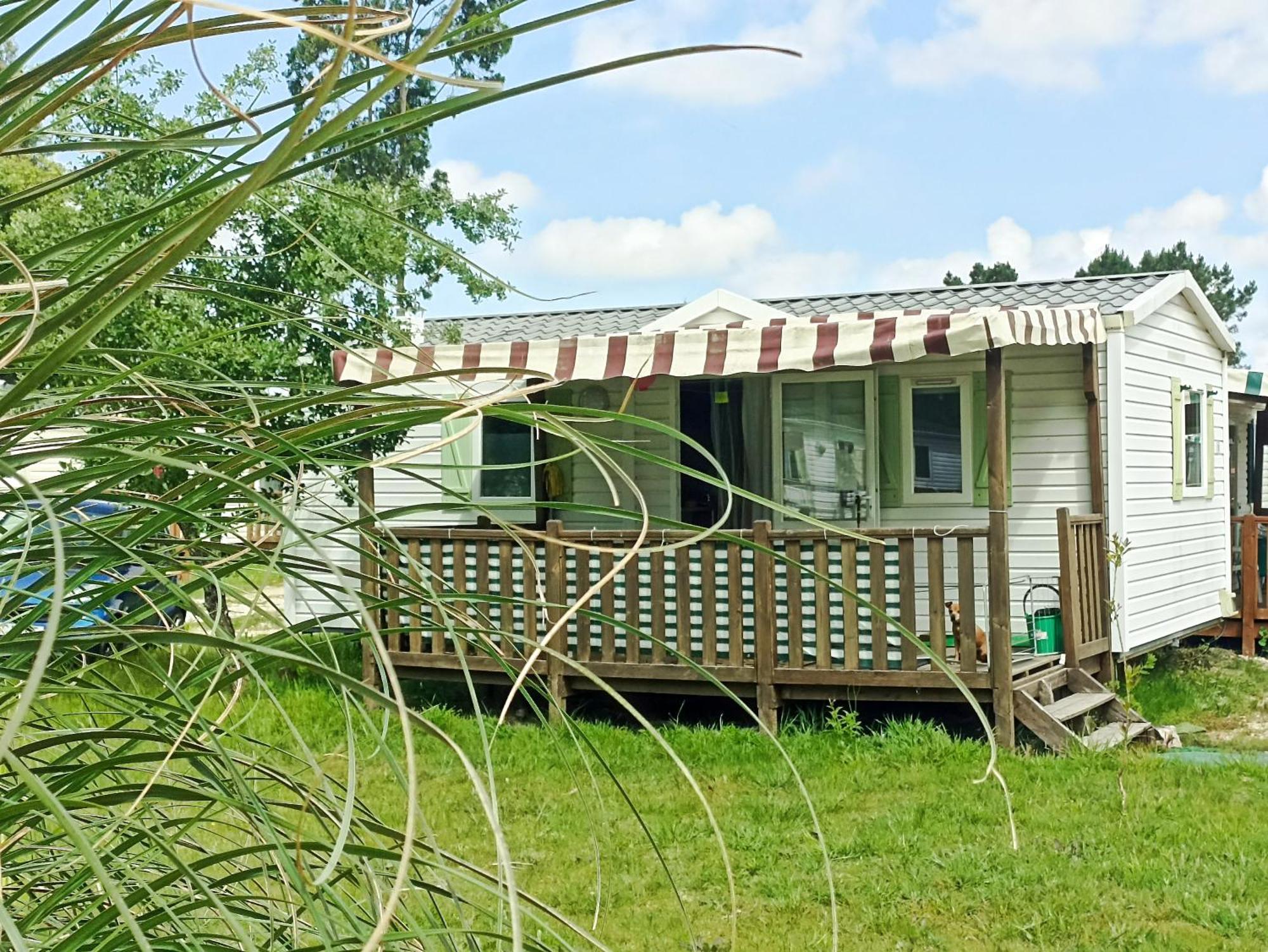 Tinyhouse Tilda - Near Famous Beaches Pataias Exteriör bild
