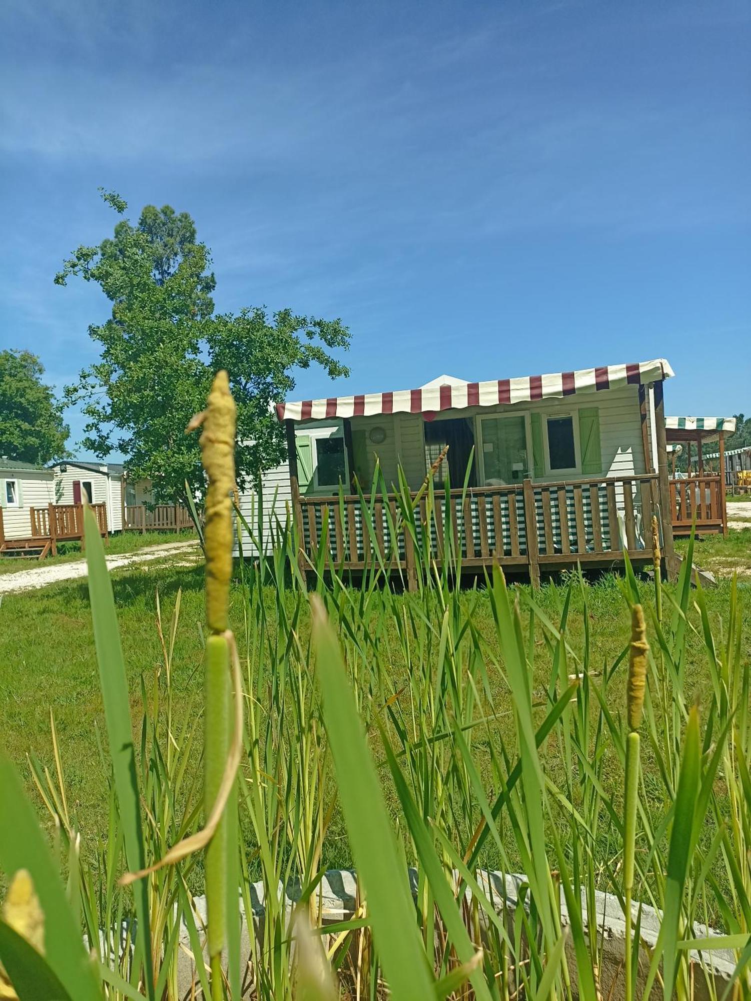 Tinyhouse Tilda - Near Famous Beaches Pataias Exteriör bild
